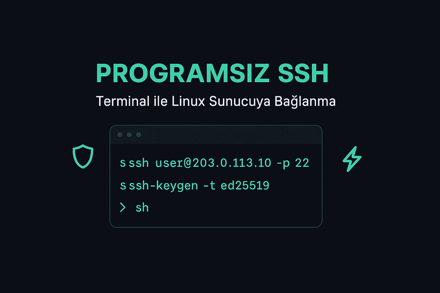 Programsız Linux Sunucuya Nasıl Bağlanılır
