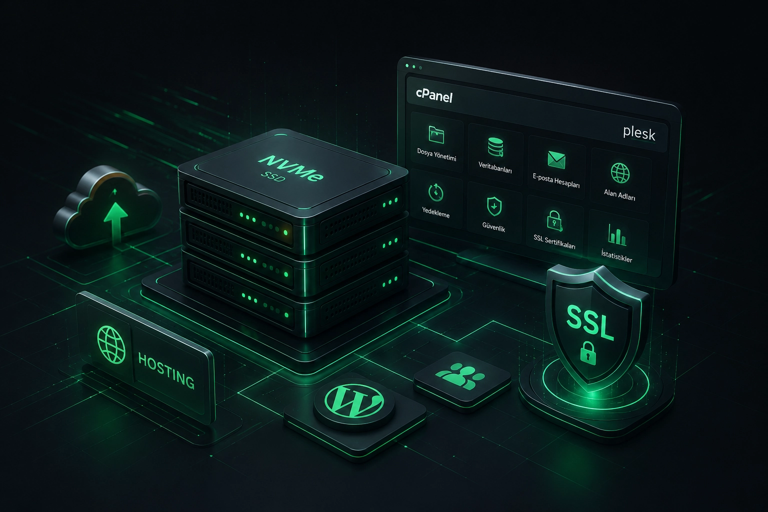 Web hosting &mdash; cPanel ve Plesk y&ouml;netim altyapısı