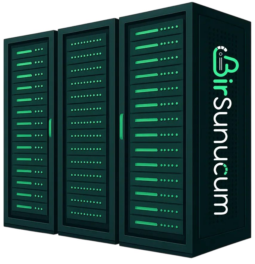 Fiziksel sunucu (Dedicated Server) altyapısı